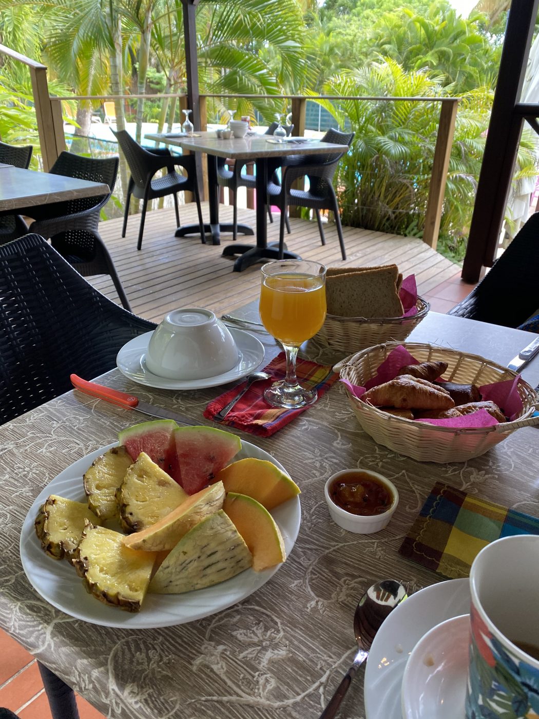 Guadeloupe, que faire en Basse Terre Voyage SWAG DAY